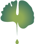 Dr-Sanja-ND-Ginko-Brain-150